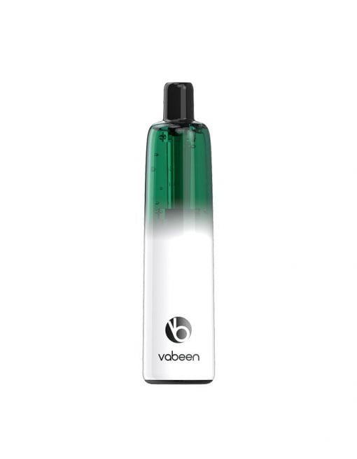 VABEEN PLUM | 5000 PUFFS New - Lush Ice