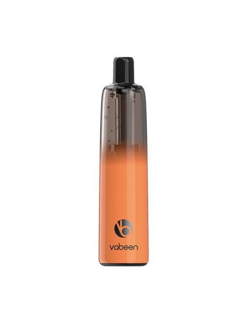 VABEEN PLUM | 5000 PUFFS New -Peach Mango Watermelon
