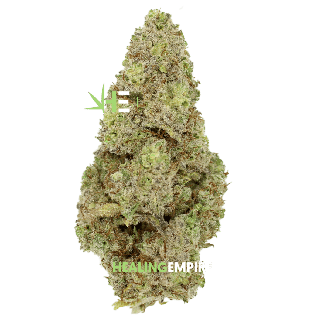 Black Jack