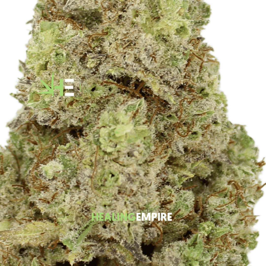 Black Jack - Image 2