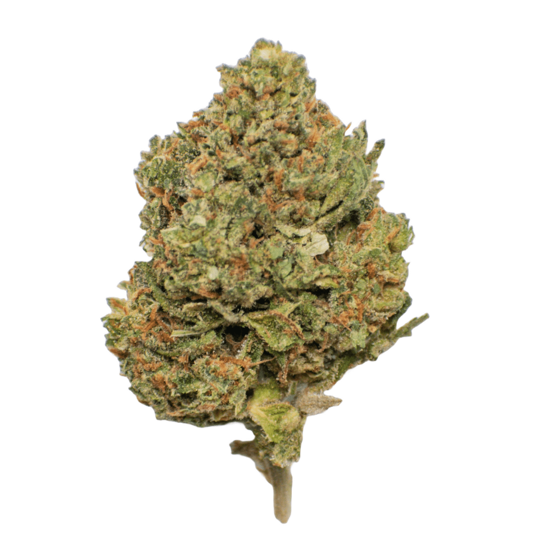 AA+ Godfather OG