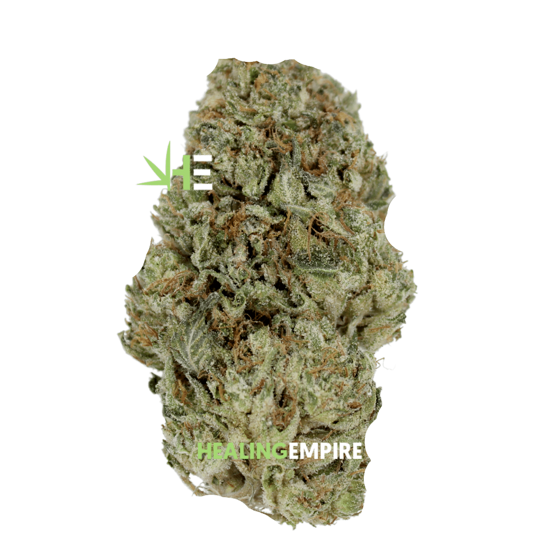 Godfather OG - Bulk