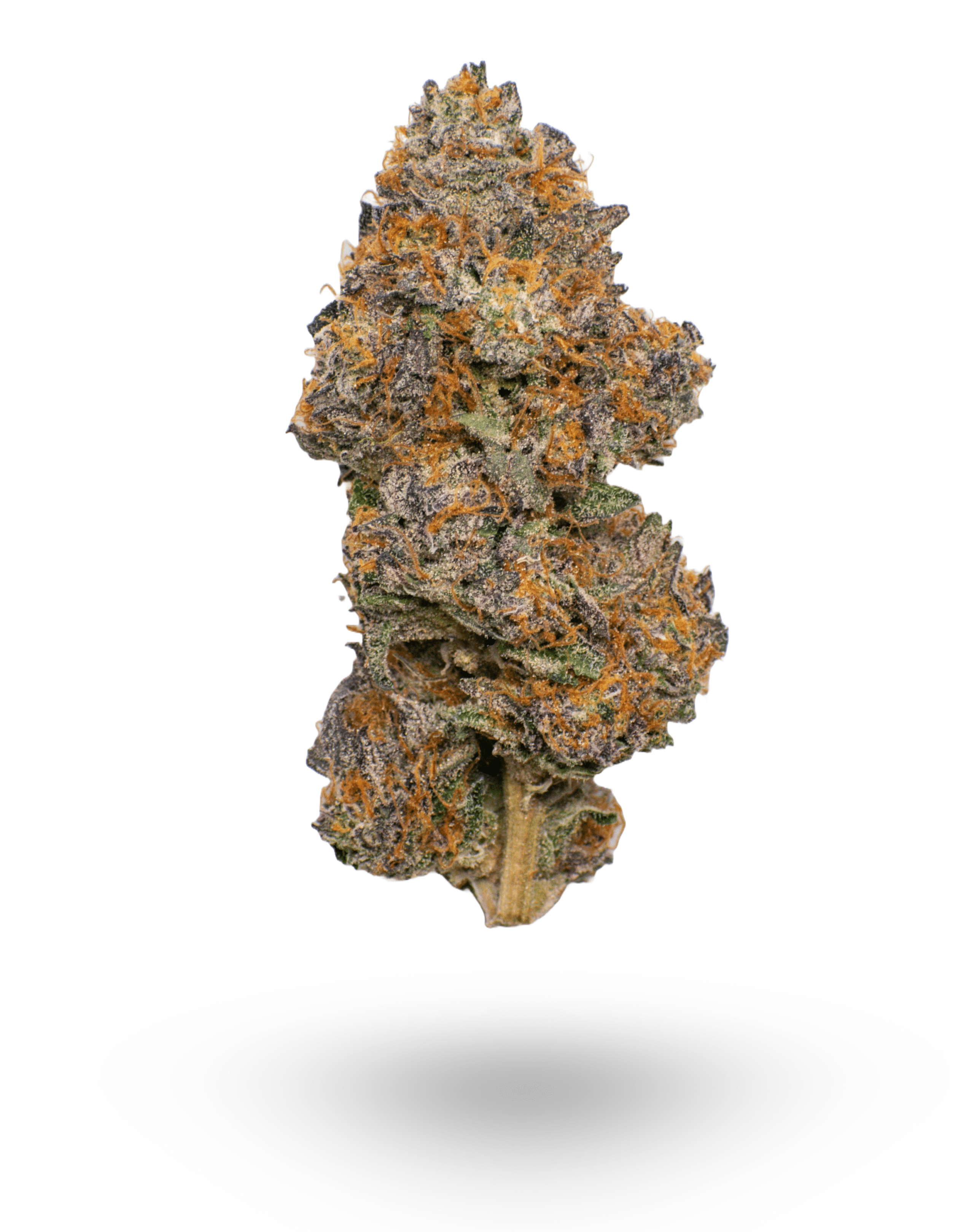AAAA lava cake by Jungle Boys