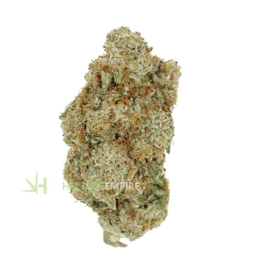 AAAA Platinum Dosidos Gelato By KOOTENAY Exotics