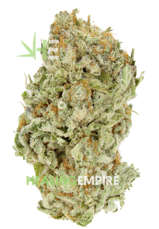 A+ Zeus OG