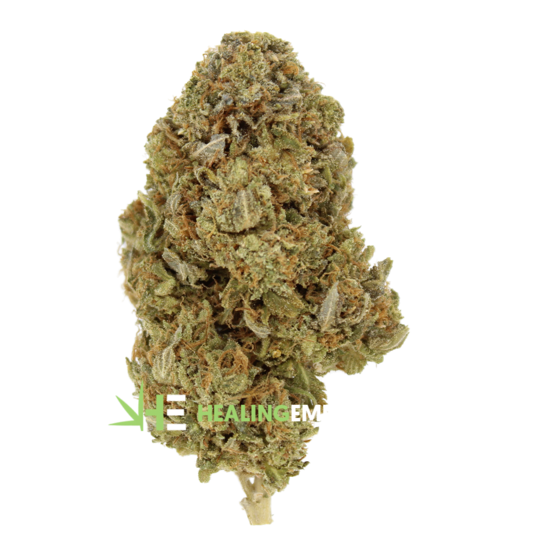 AAA Ghost Bubba