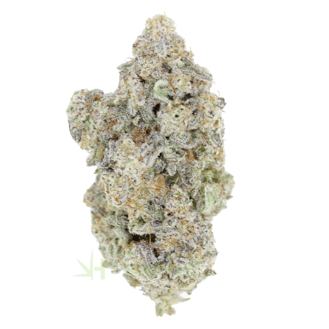 AAA Gelato 45