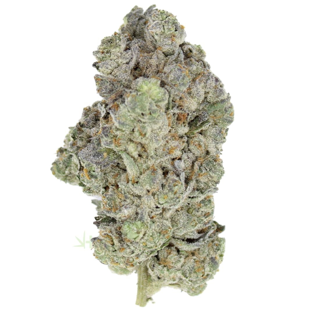 AAAA Purple Power