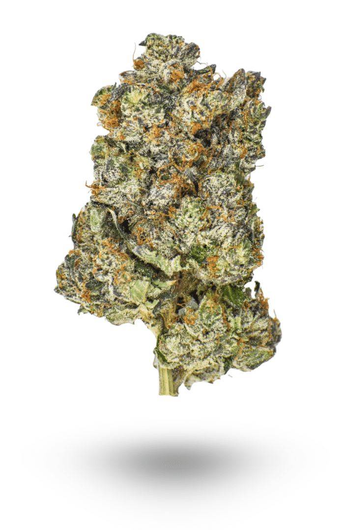 AAAA BC Rockstar