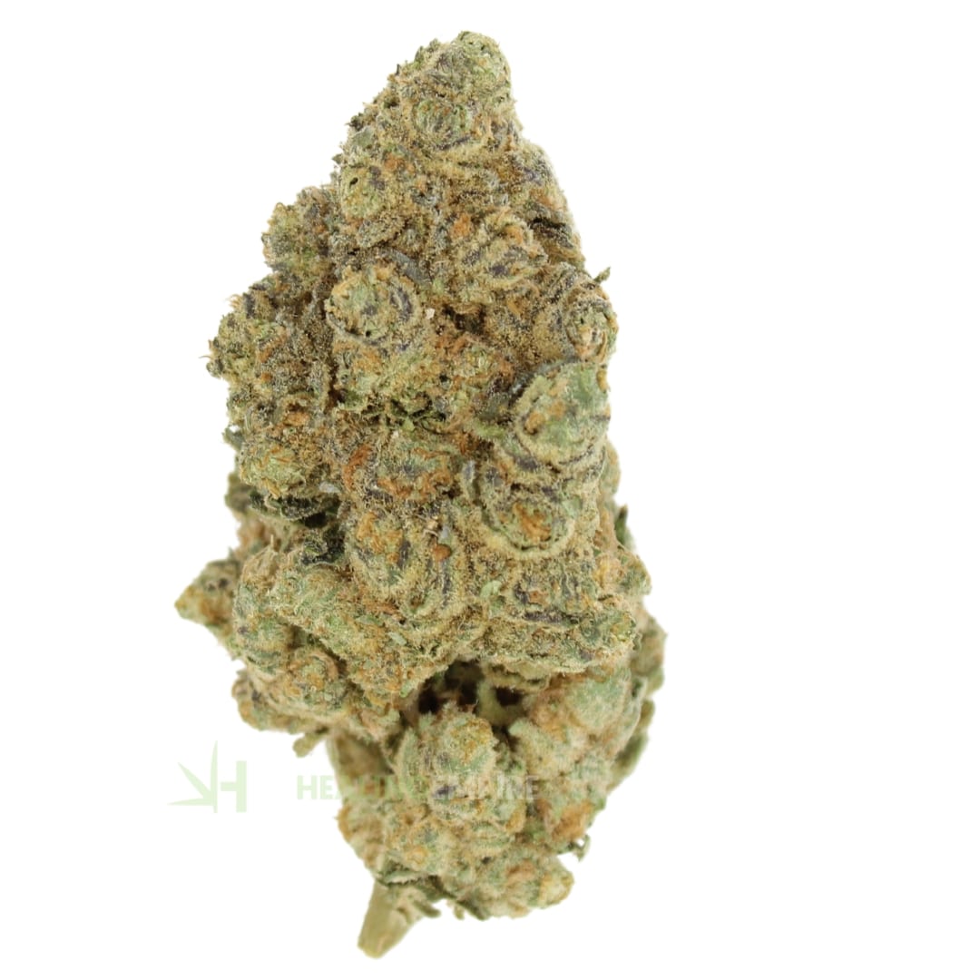 AAAA Afghani Bullrider By Kelowna Craft