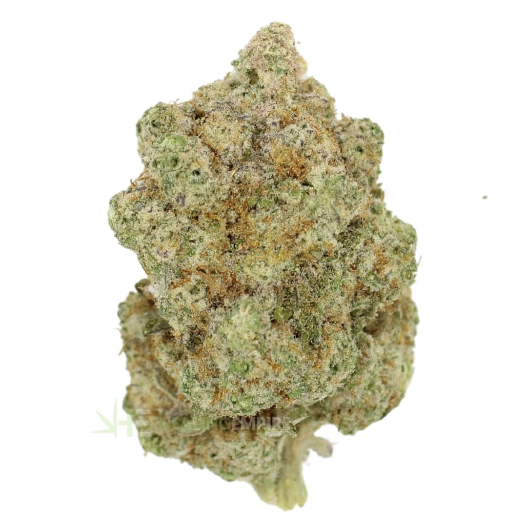 AAAA Champagne Castle By Kelowna Craft