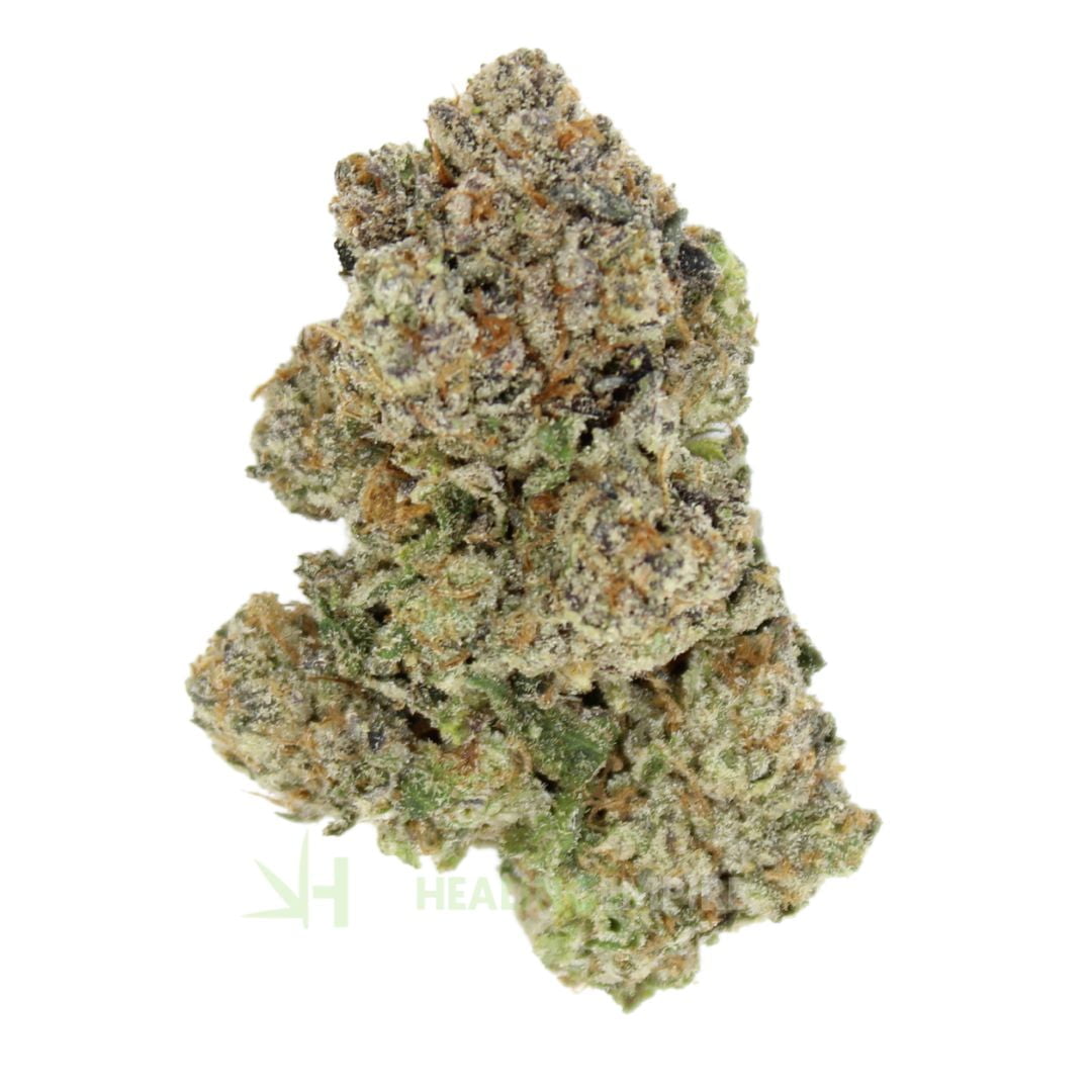 AAAA Gatorade By KOOTENAY Exotics ☀️