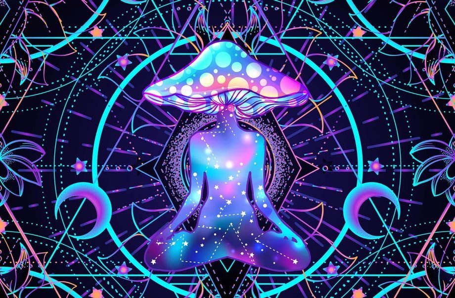 magic mushroom canada, shrooms, is shrooms legal in canada, online magic mushroom
