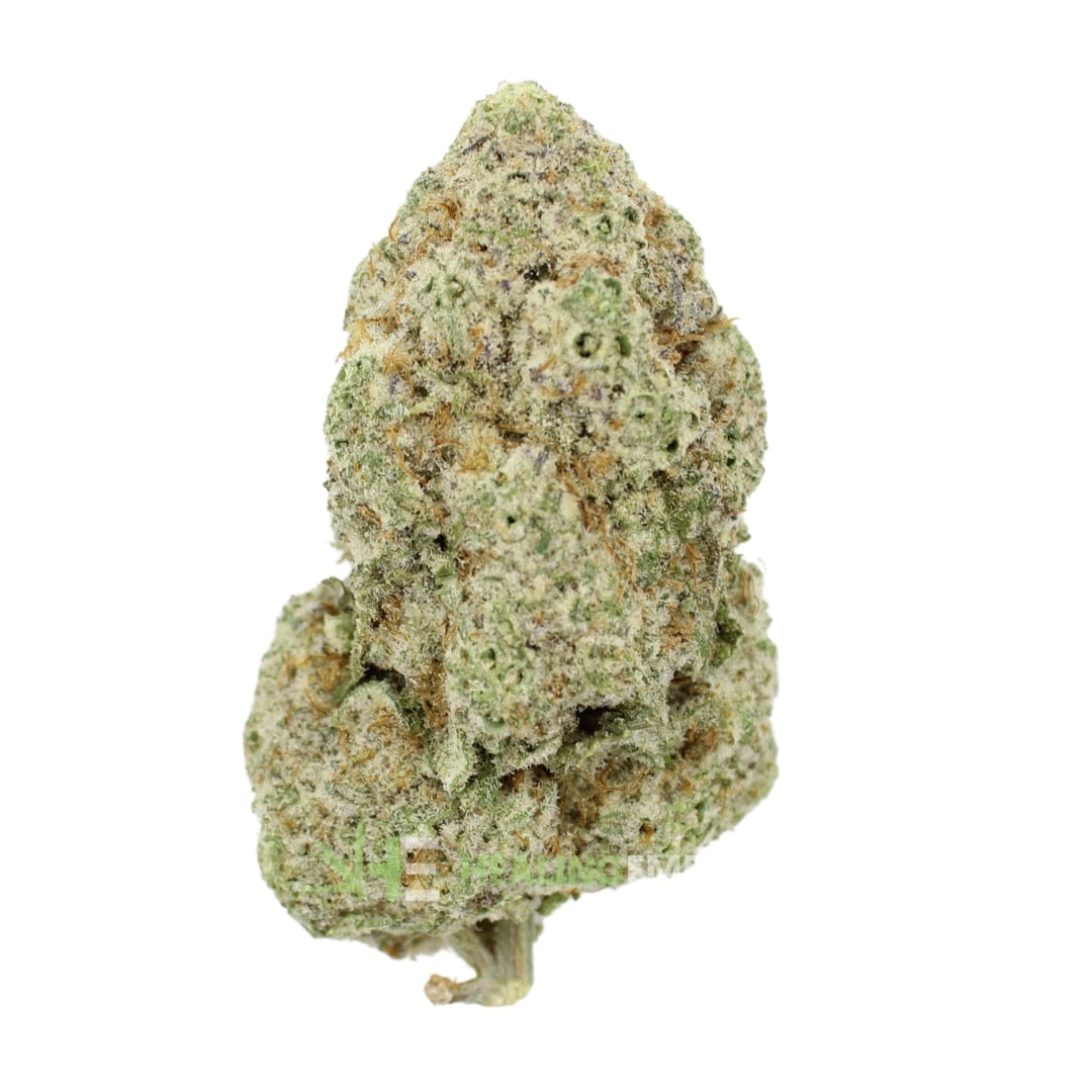 AAAA Starfighter By Kelowna Craft