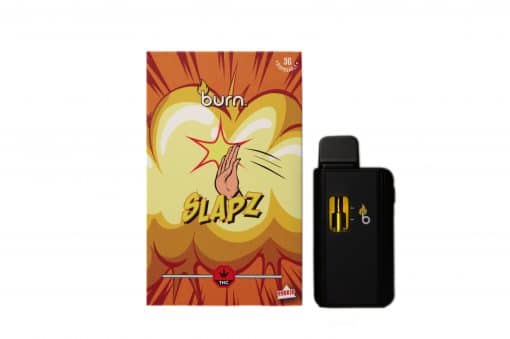 3ML Burn Disposable Vapes – Slapz (Hybrid)