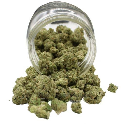 AAA Purple Space Cookies Smalls