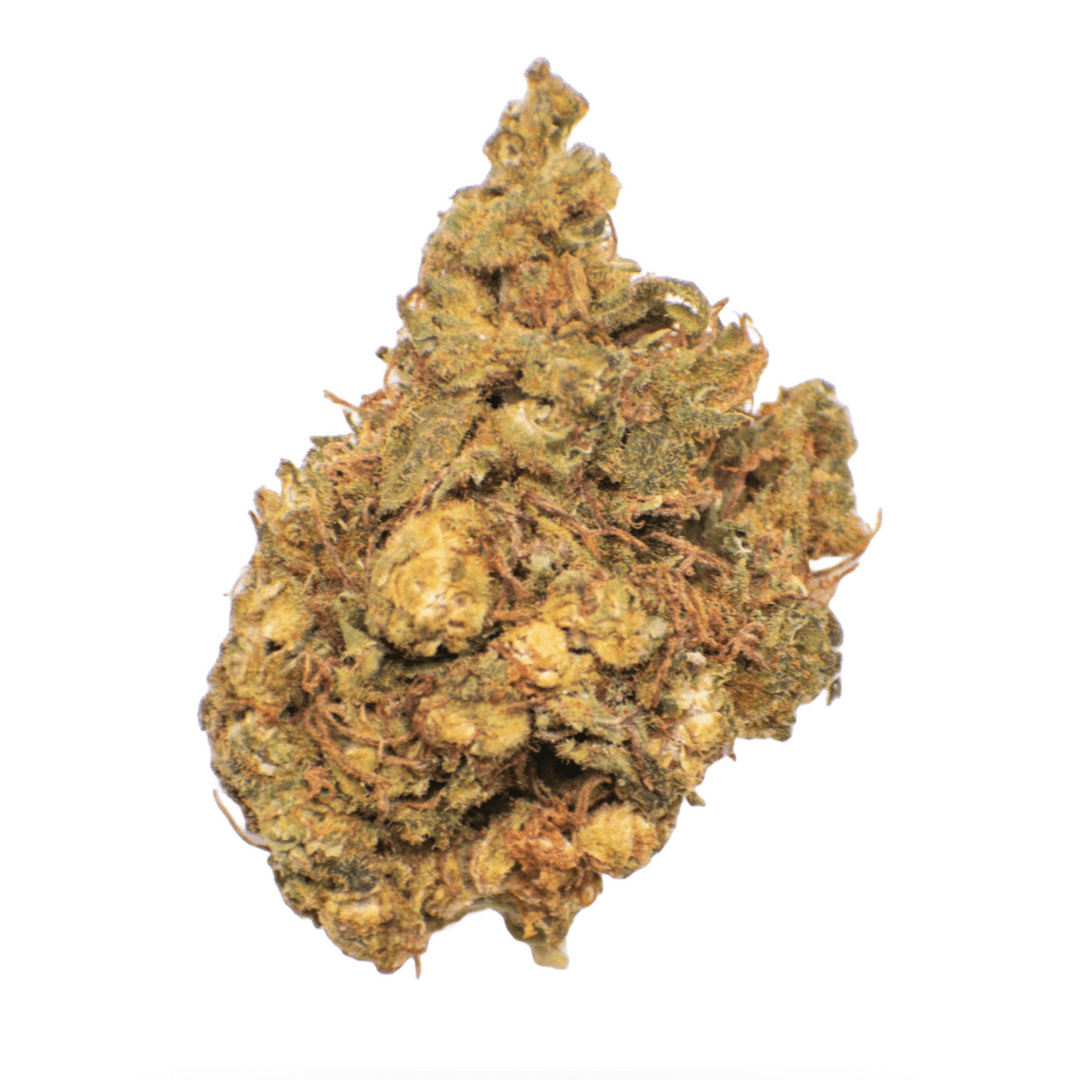 AA Critical Kali Smalls