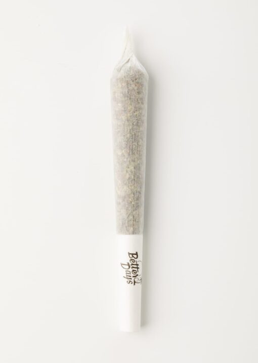 Congo Premium 2 for 1 Preroll Joints