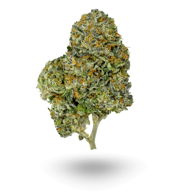 π Cannabis Cup: AAAA Medusa