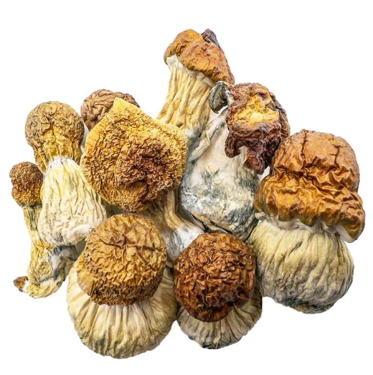 Half Pound: AAAA CODE BLUE Mushroom