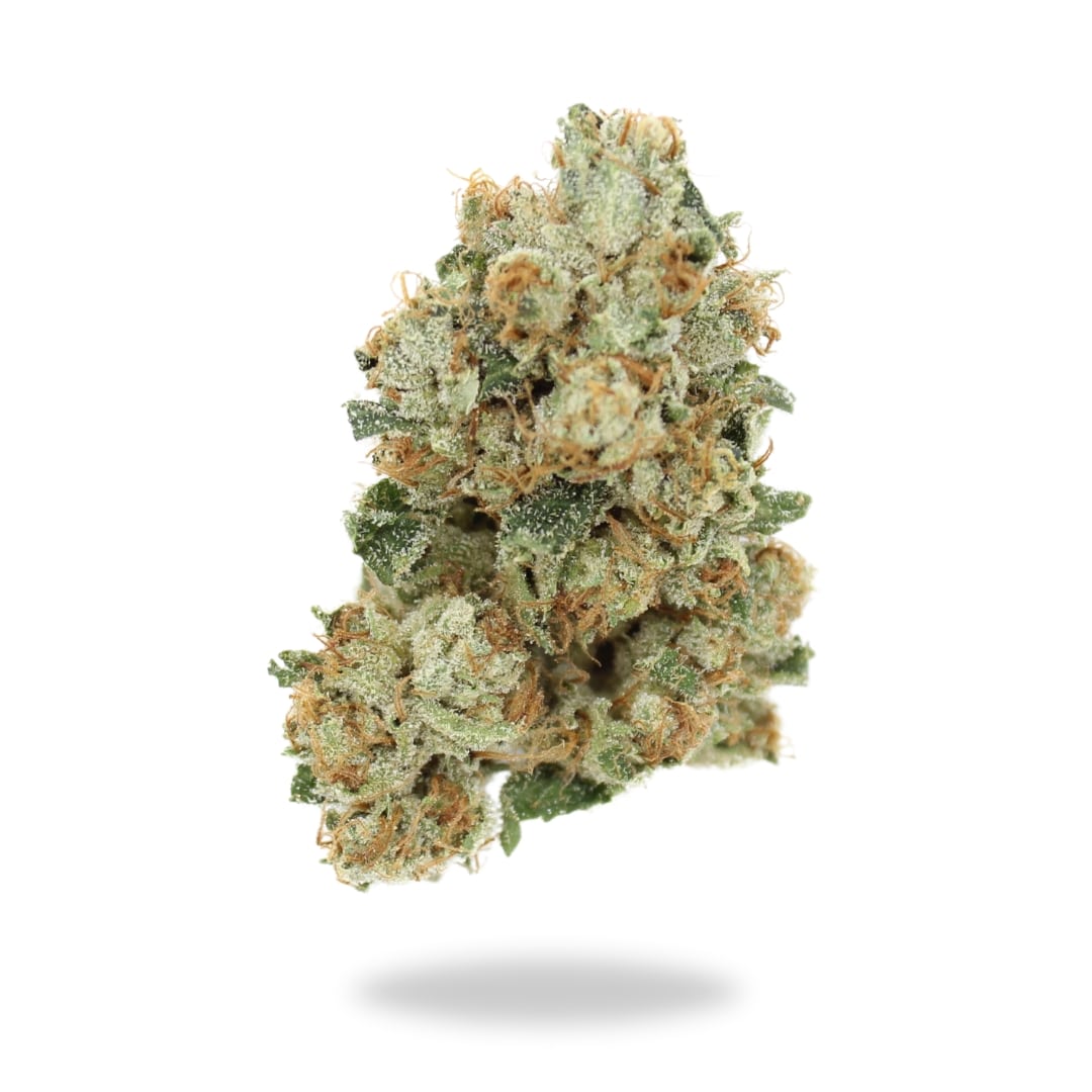AAAA San Fernando Valley – Organic