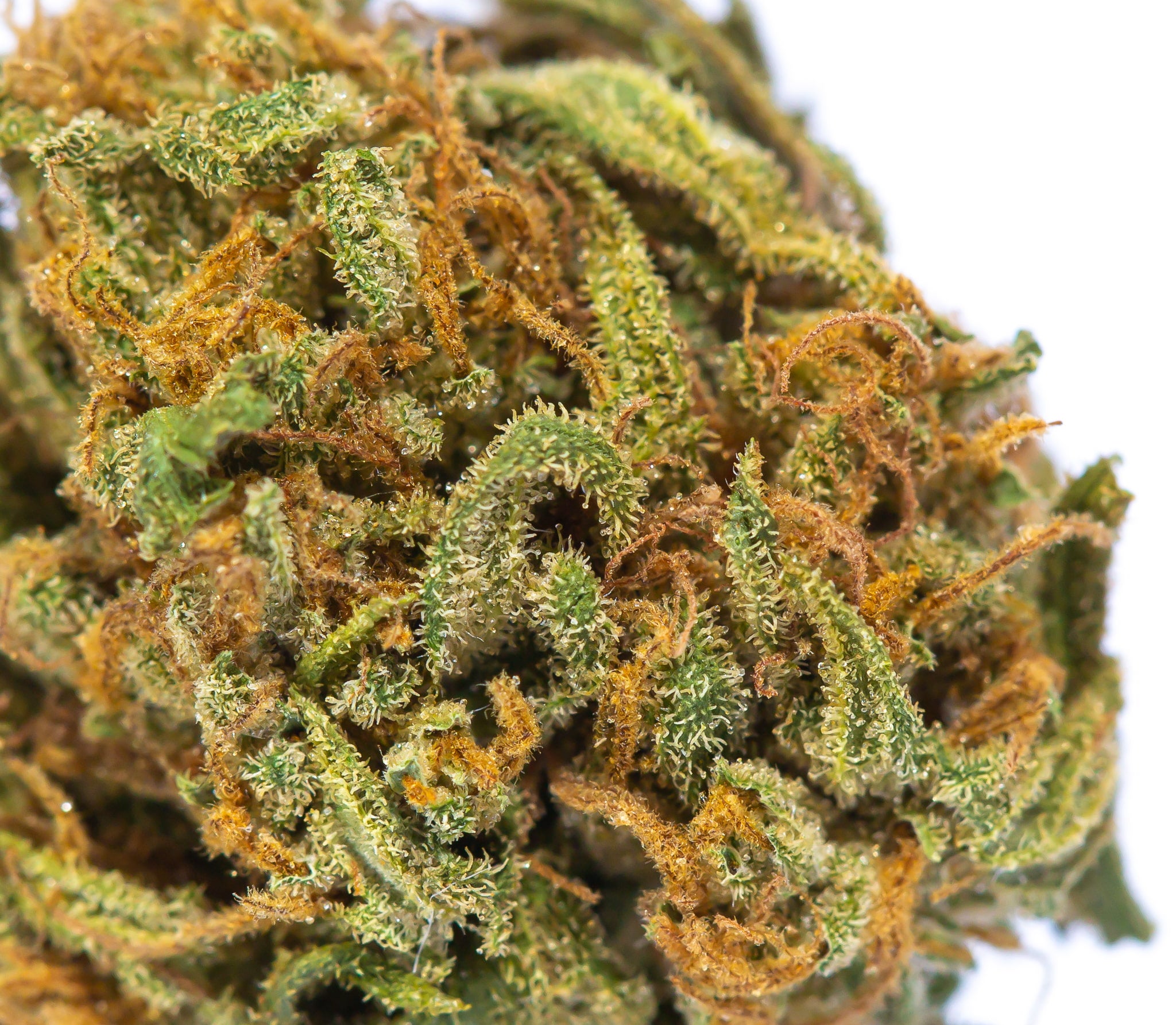 Cookie OG (AA) - Image 3