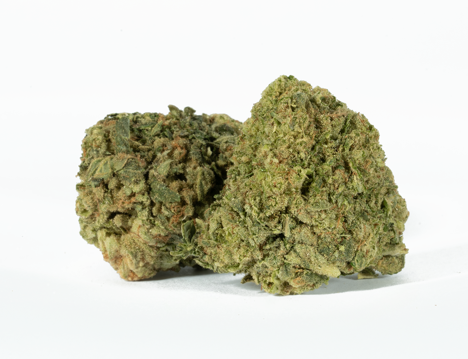 Astral Herbs - Alien OG