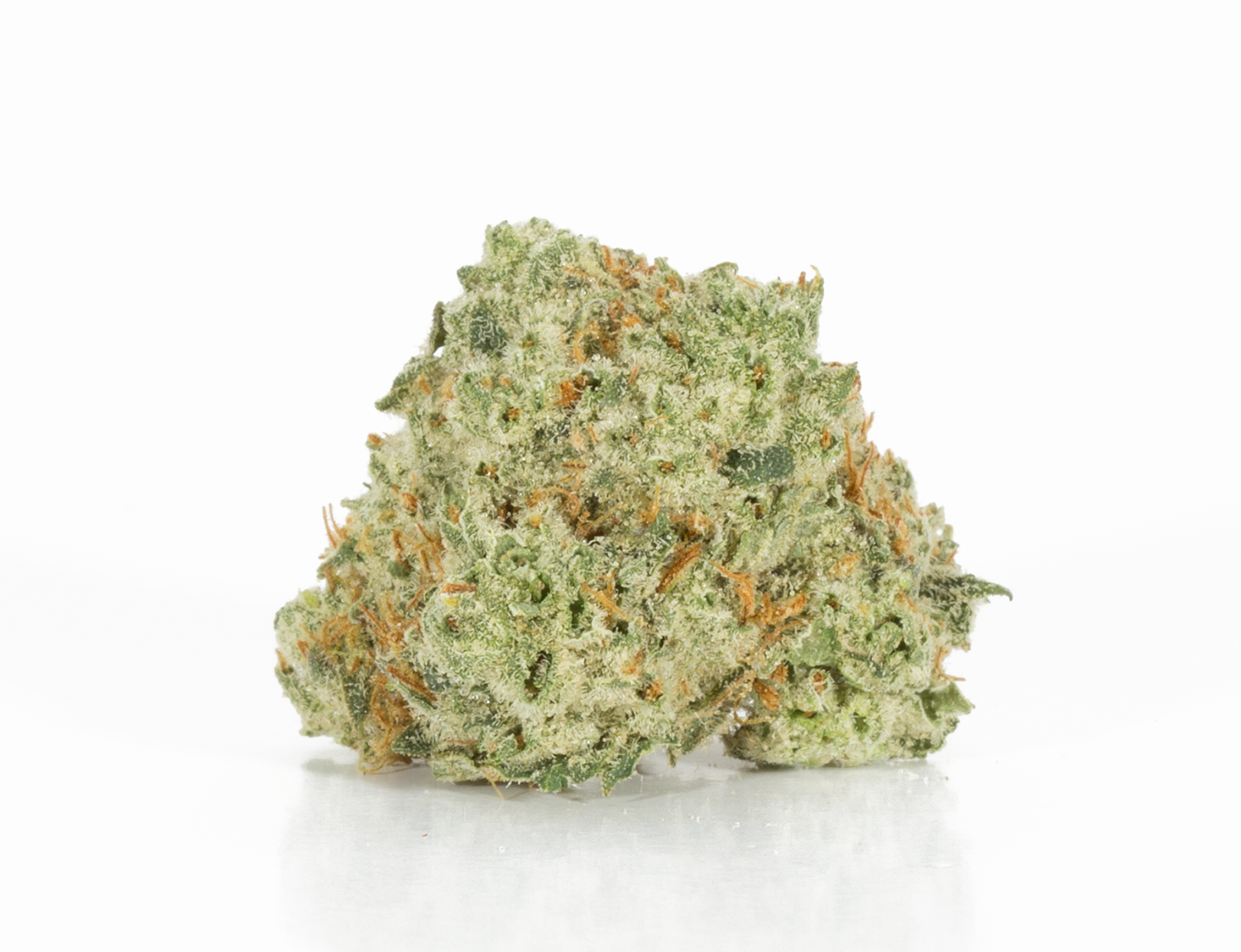 BC Legacy - Berner Cookies - Image 3