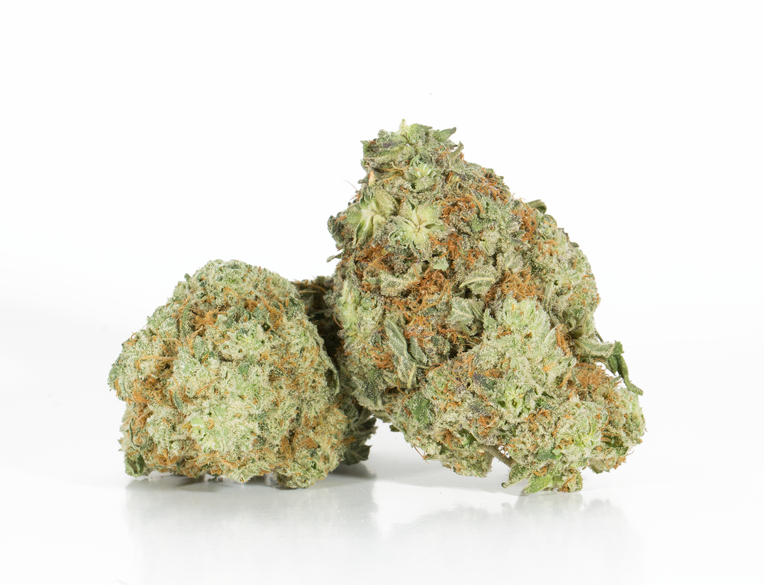 BC Legacy - Berner Cookies