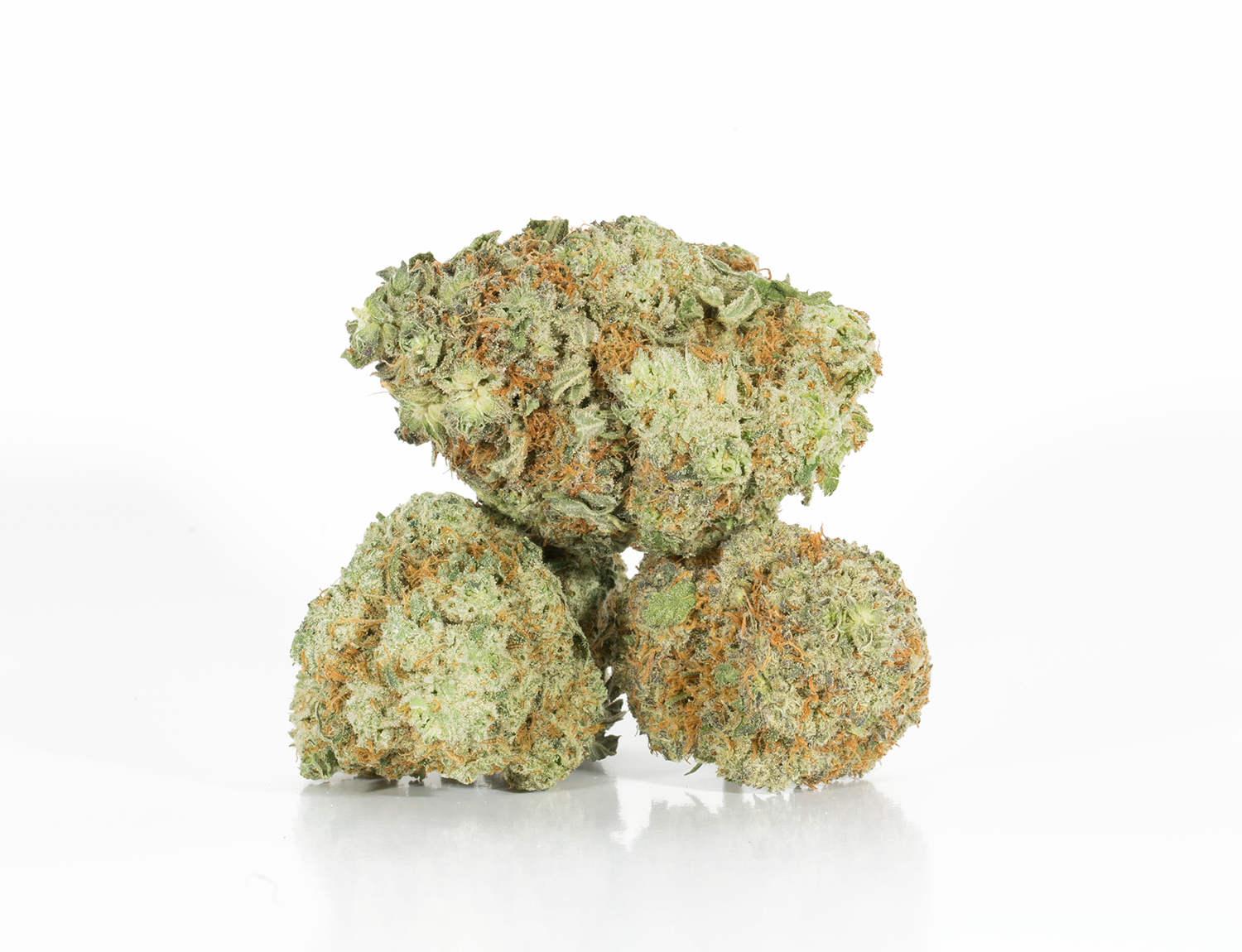 BC Legacy - Berner Cookies - Image 2