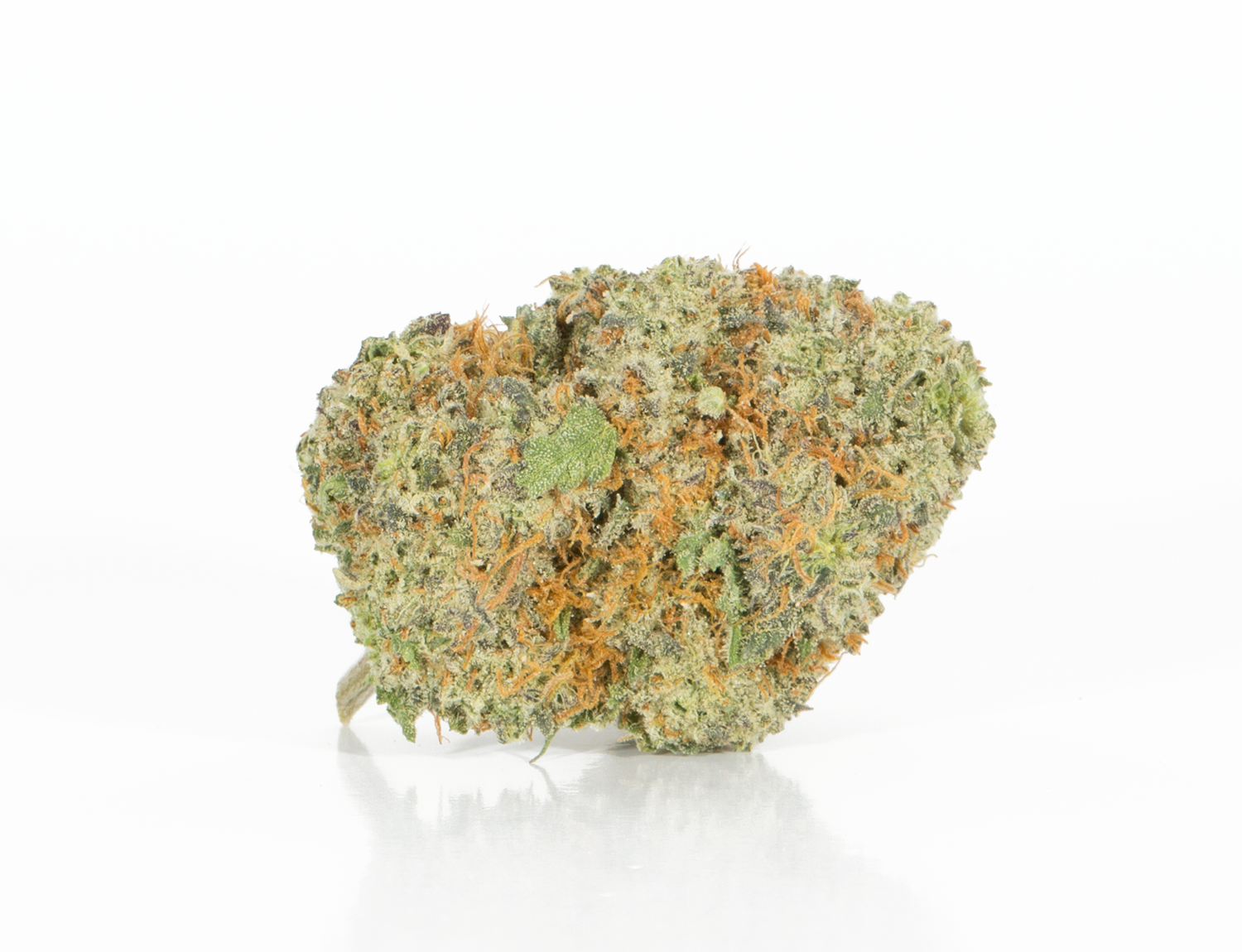 BC Legacy - Berner Cookies - Image 4