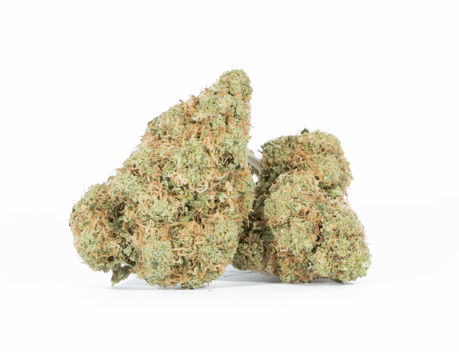 Astral Herbs – Blue Dream