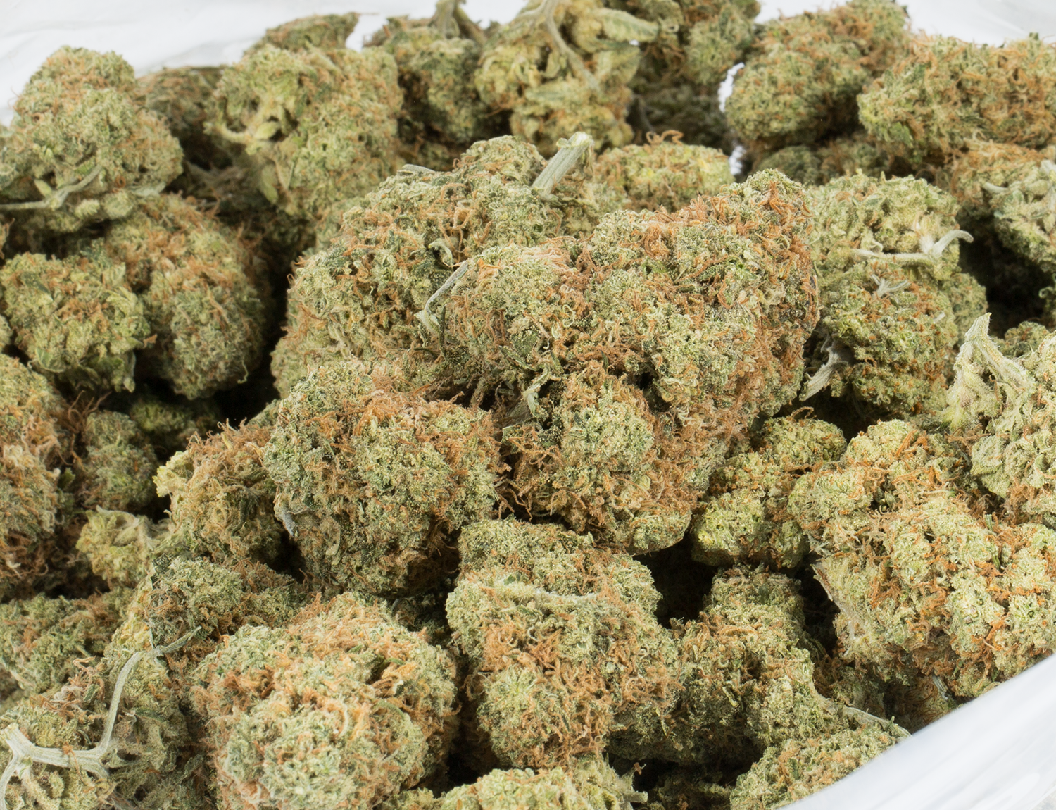 Astral Herbs – Blue Dream - Image 5