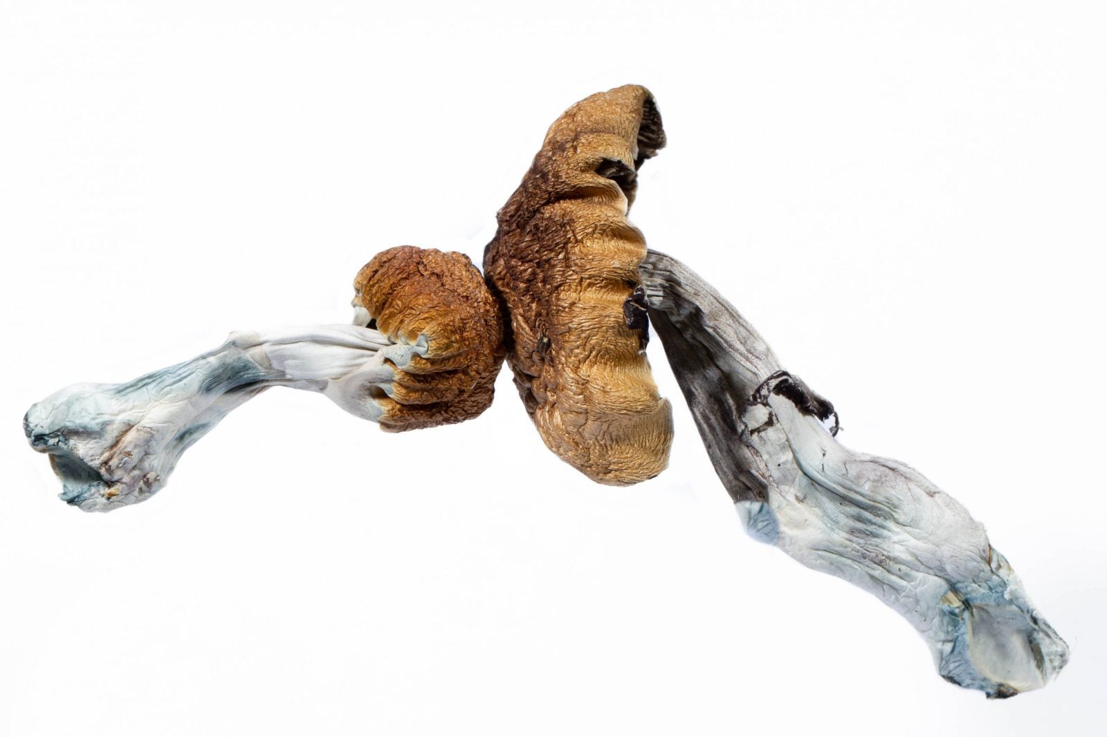 A-One Mushrooms - Blue Meanies