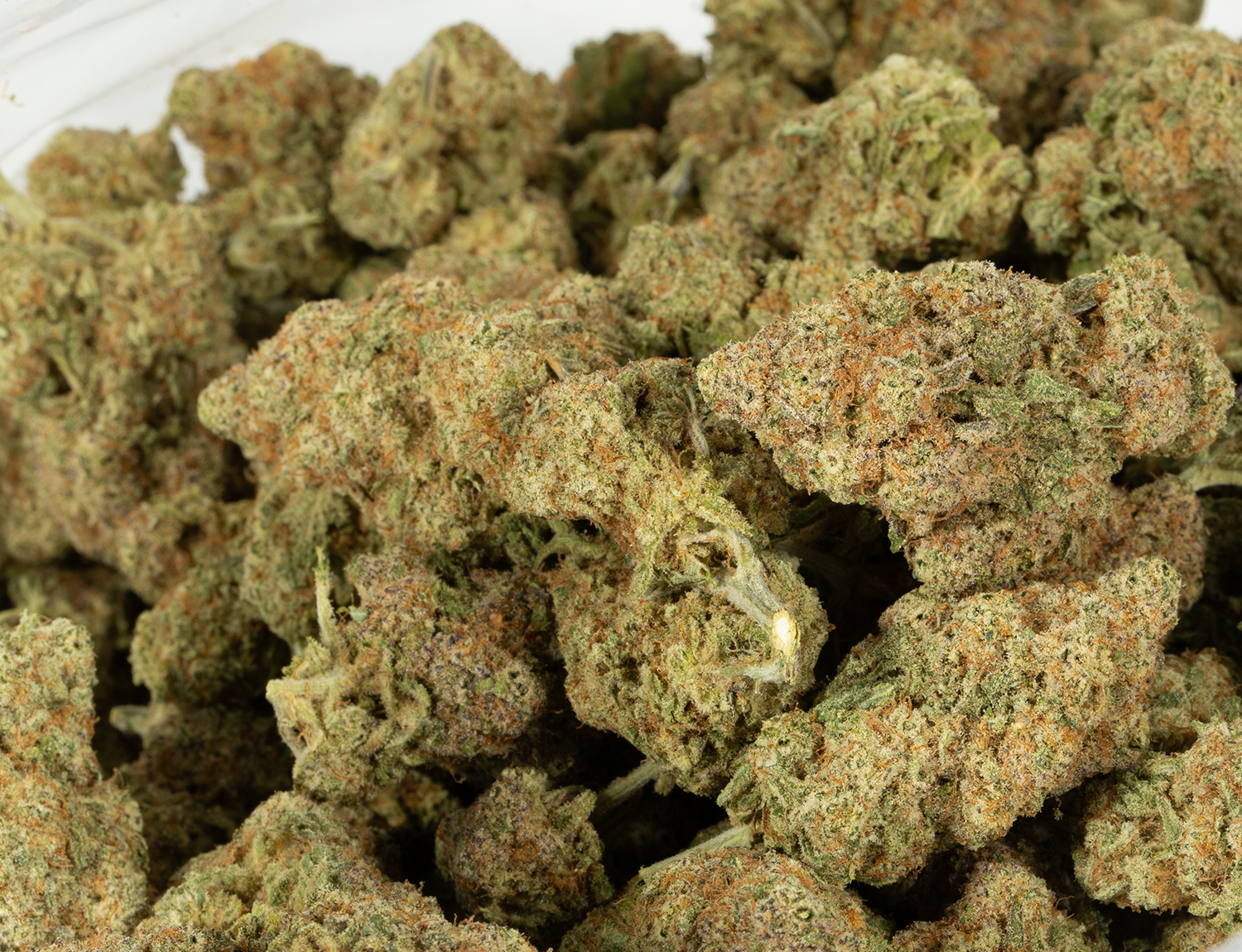 Astral Herbs - Dream Berry - Image 6