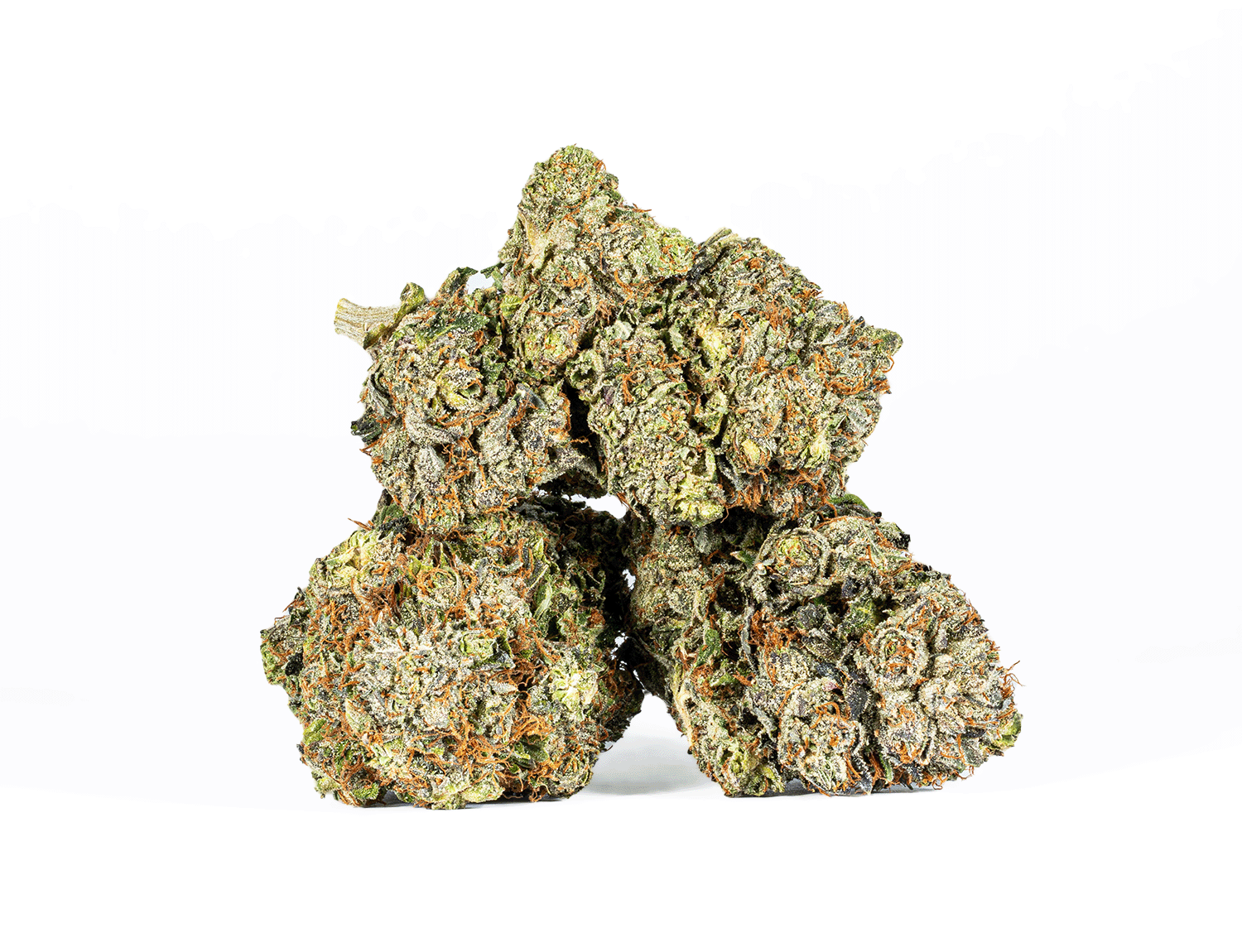 BC Legacy - Grizzly Pink - Image 4
