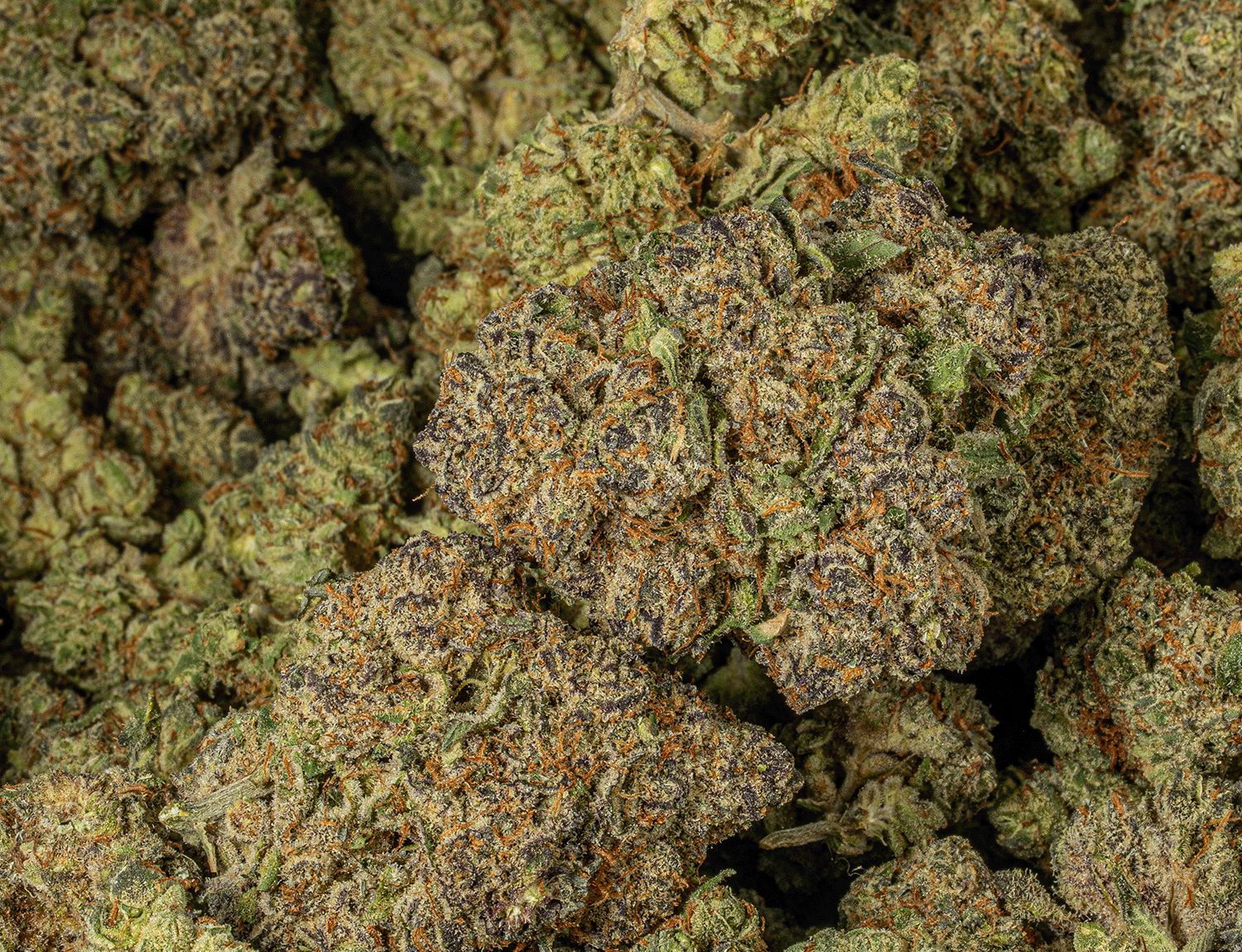 Astral Herbs - Meat Breath - Image 5