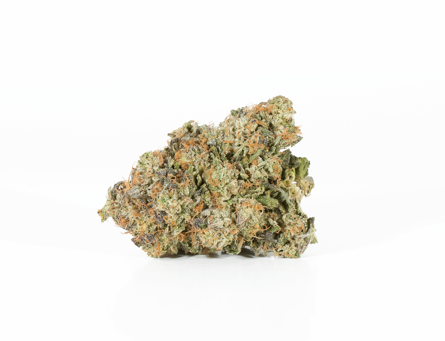 BC Legacy - Mr.Nice - Image 2