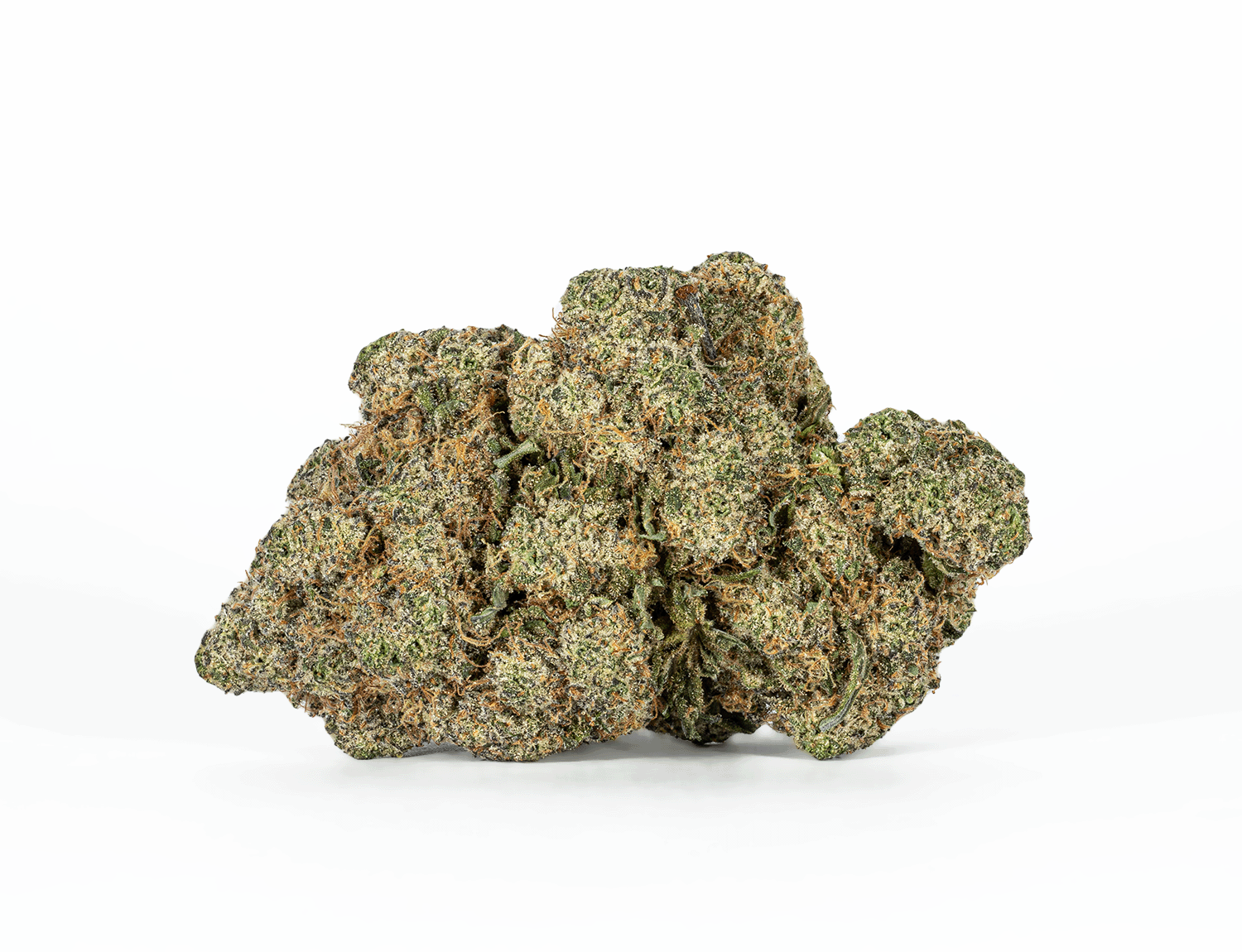 BC Legacy - Neon Rainbowz - Image 2