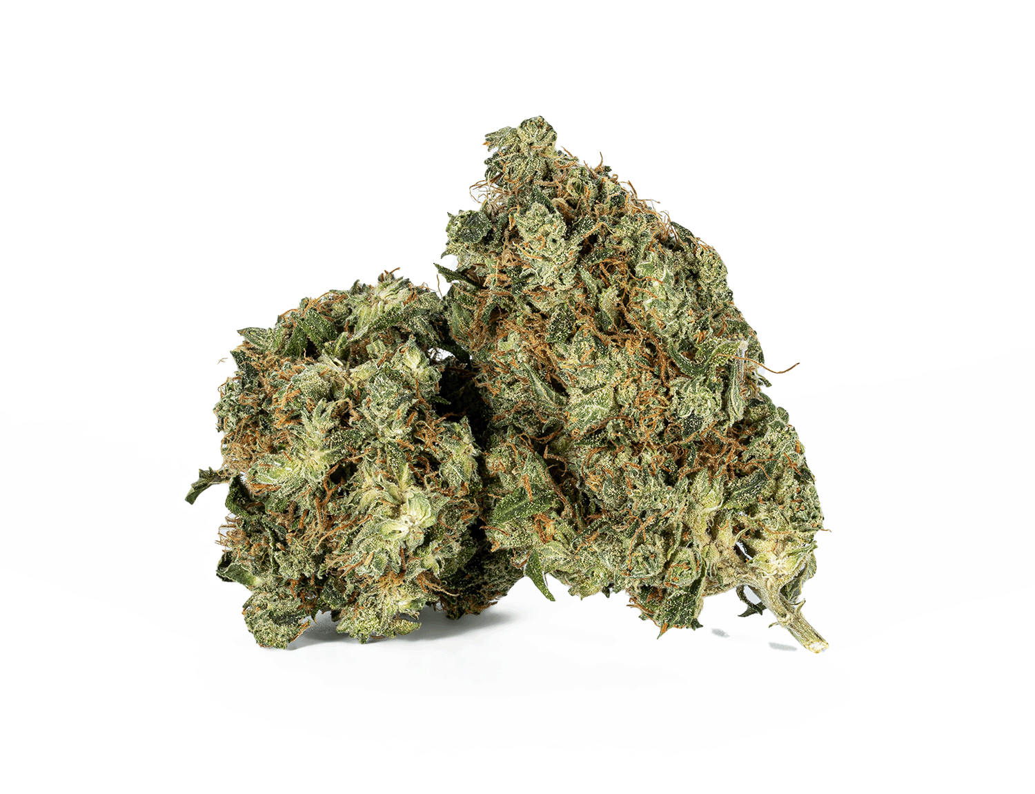 Astral Herbs - Pink Kush