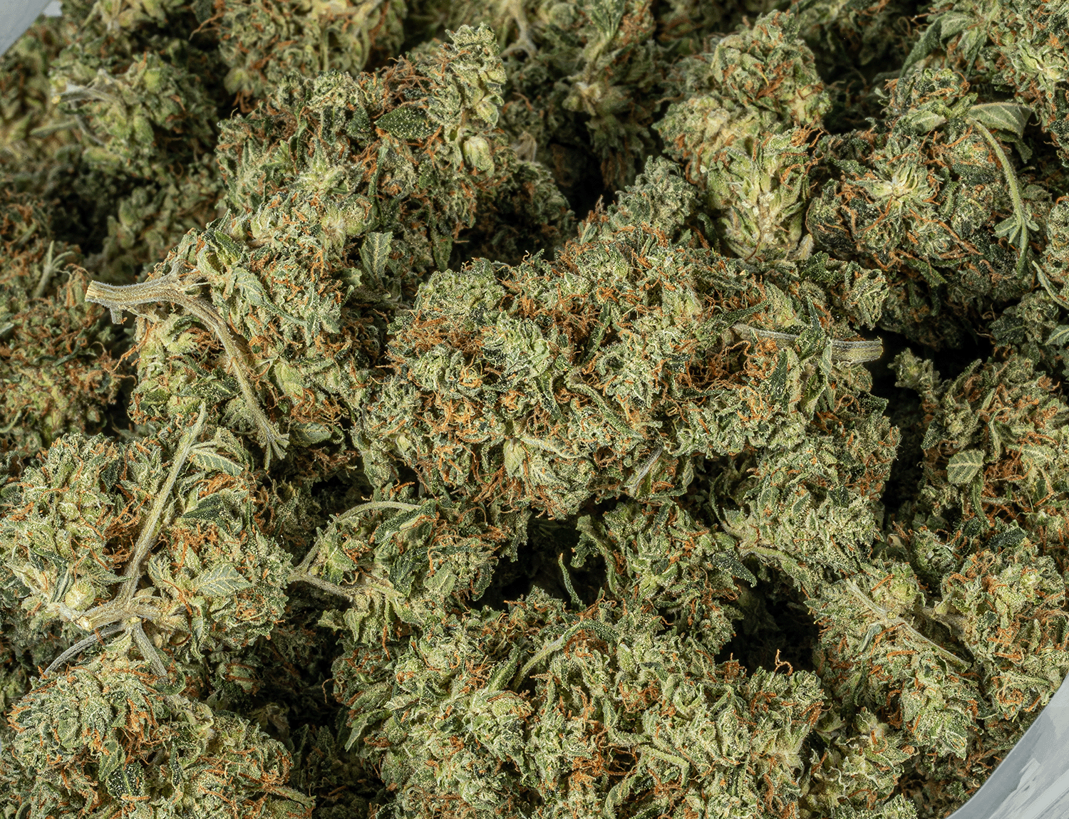 Astral Herbs - Pink Kush - Image 5