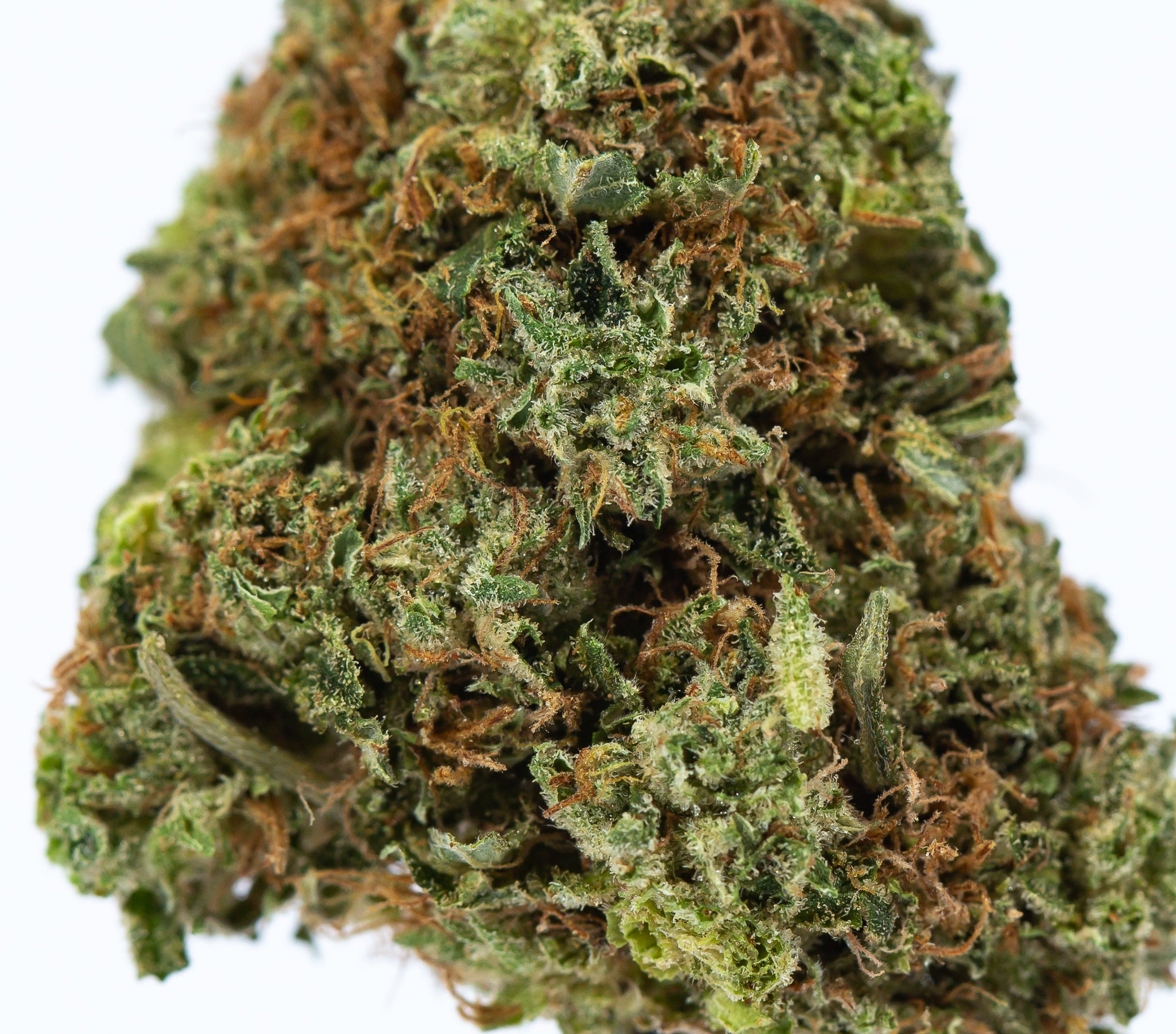 Pink Star (AAA) - Image 2