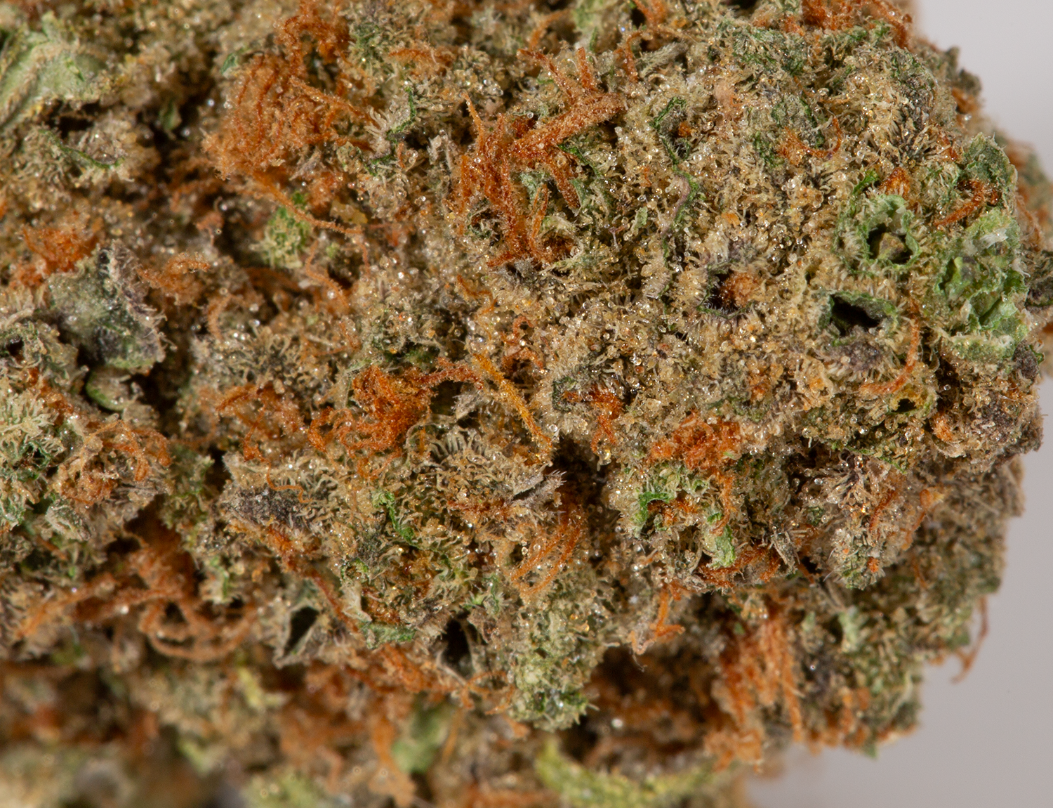 Astral Herbs - Pineapple Express - Image 5