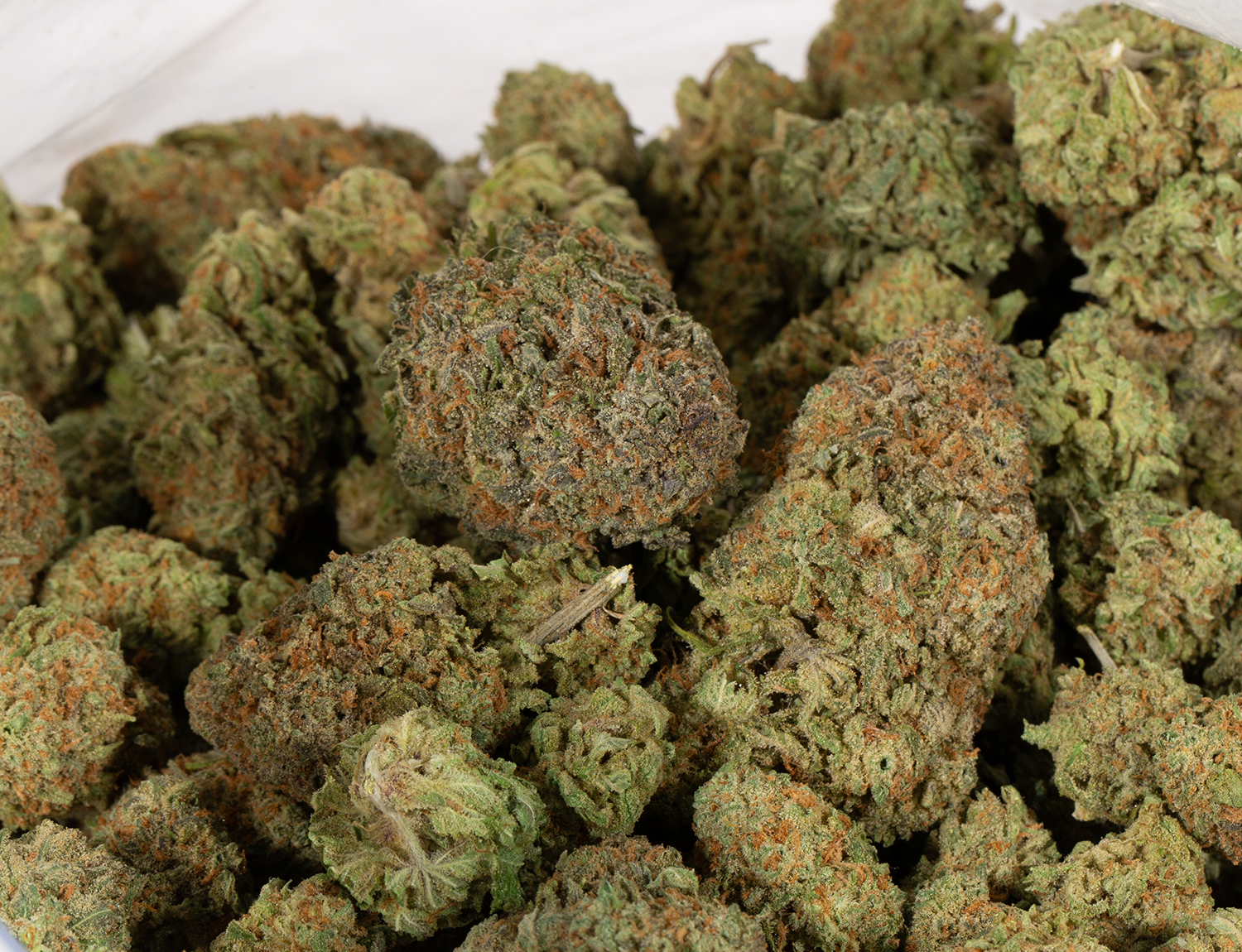 Astral Herbs - Pineapple Express - Image 6
