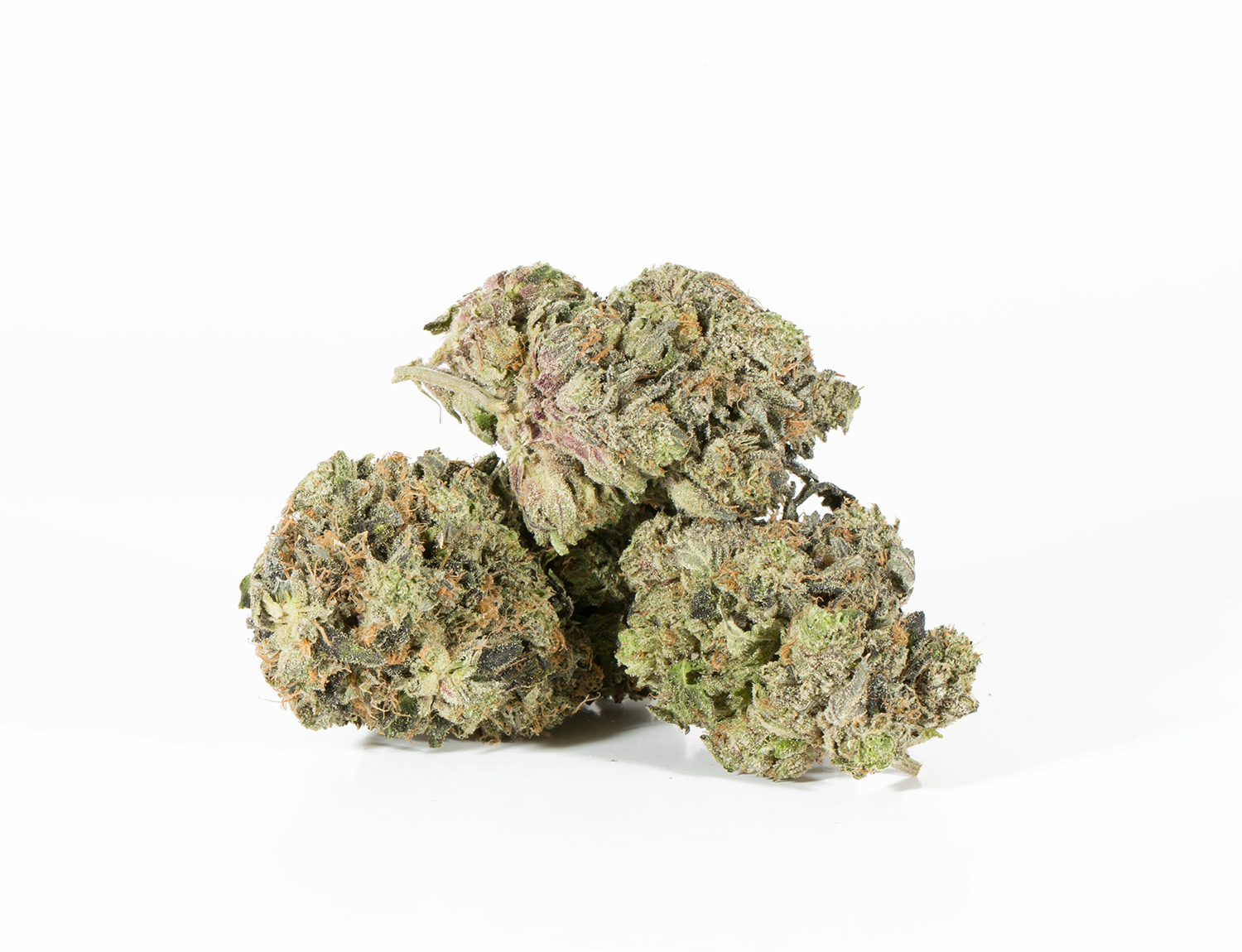 BC Legacy - Pink Champagne - Image 2
