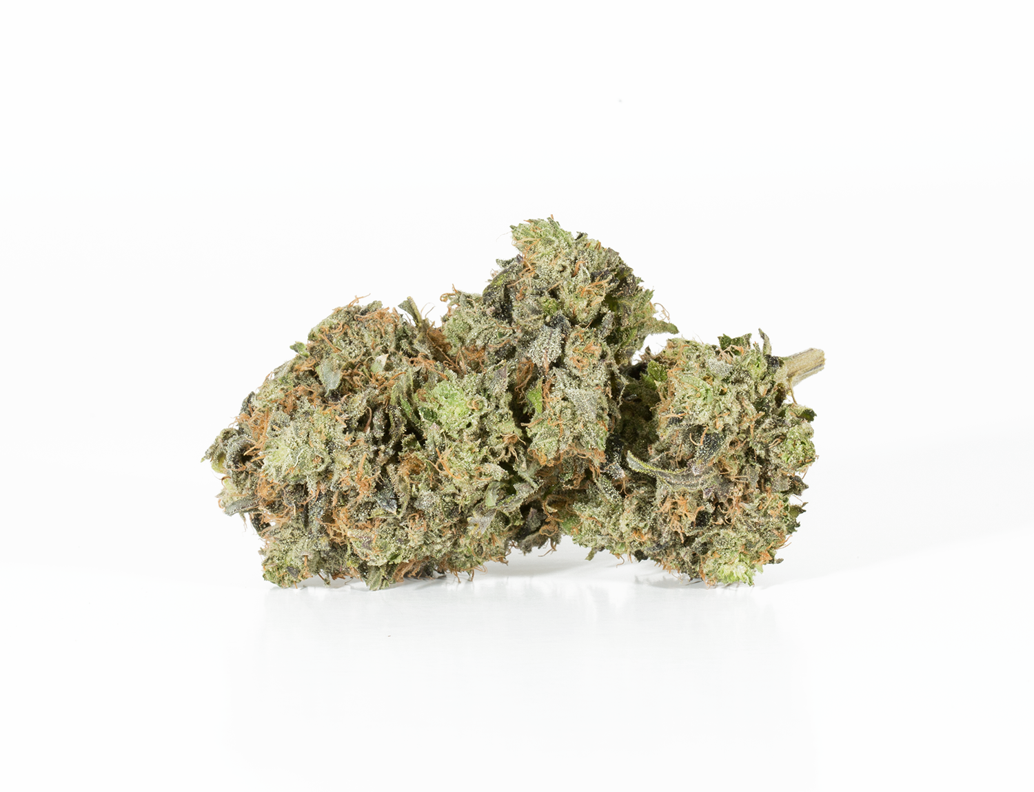 BC Legacy - Pink Champagne - Image 3