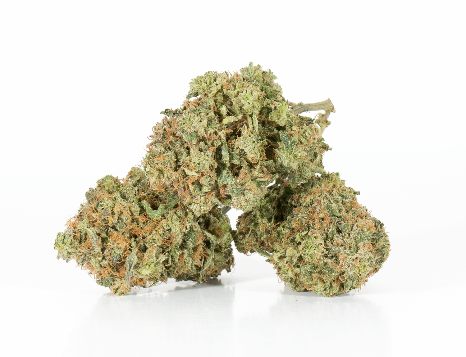BC Legacy - Skywalker OG - Image 4