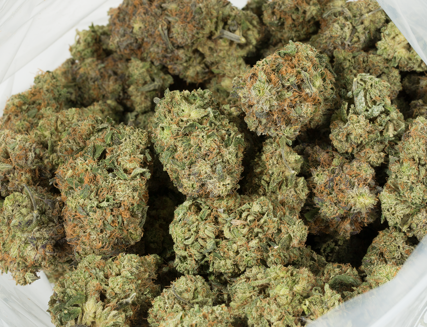 BC Legacy - Skywalker OG - Image 5