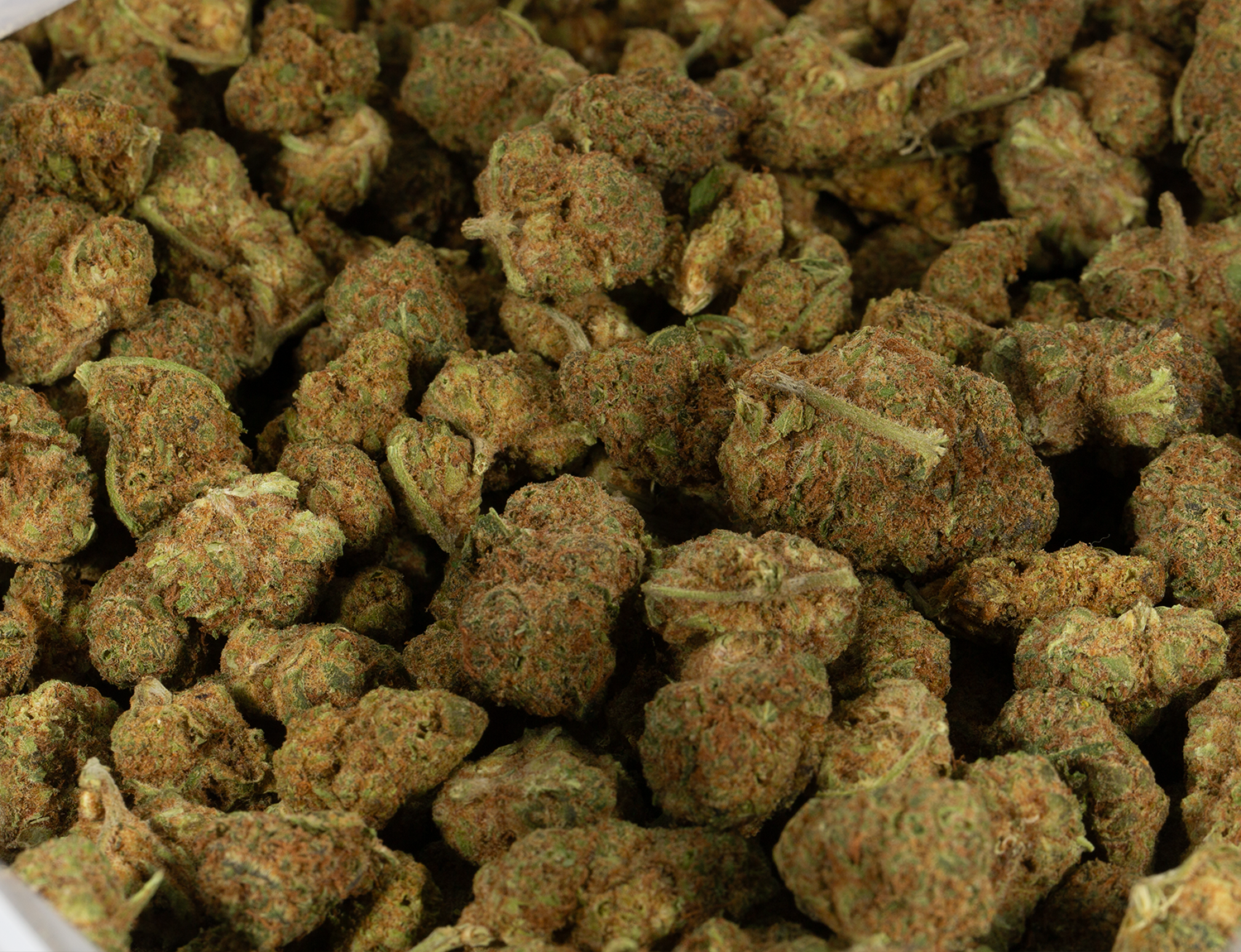 Astral Herbs - Pineapple Chunk - Image 6