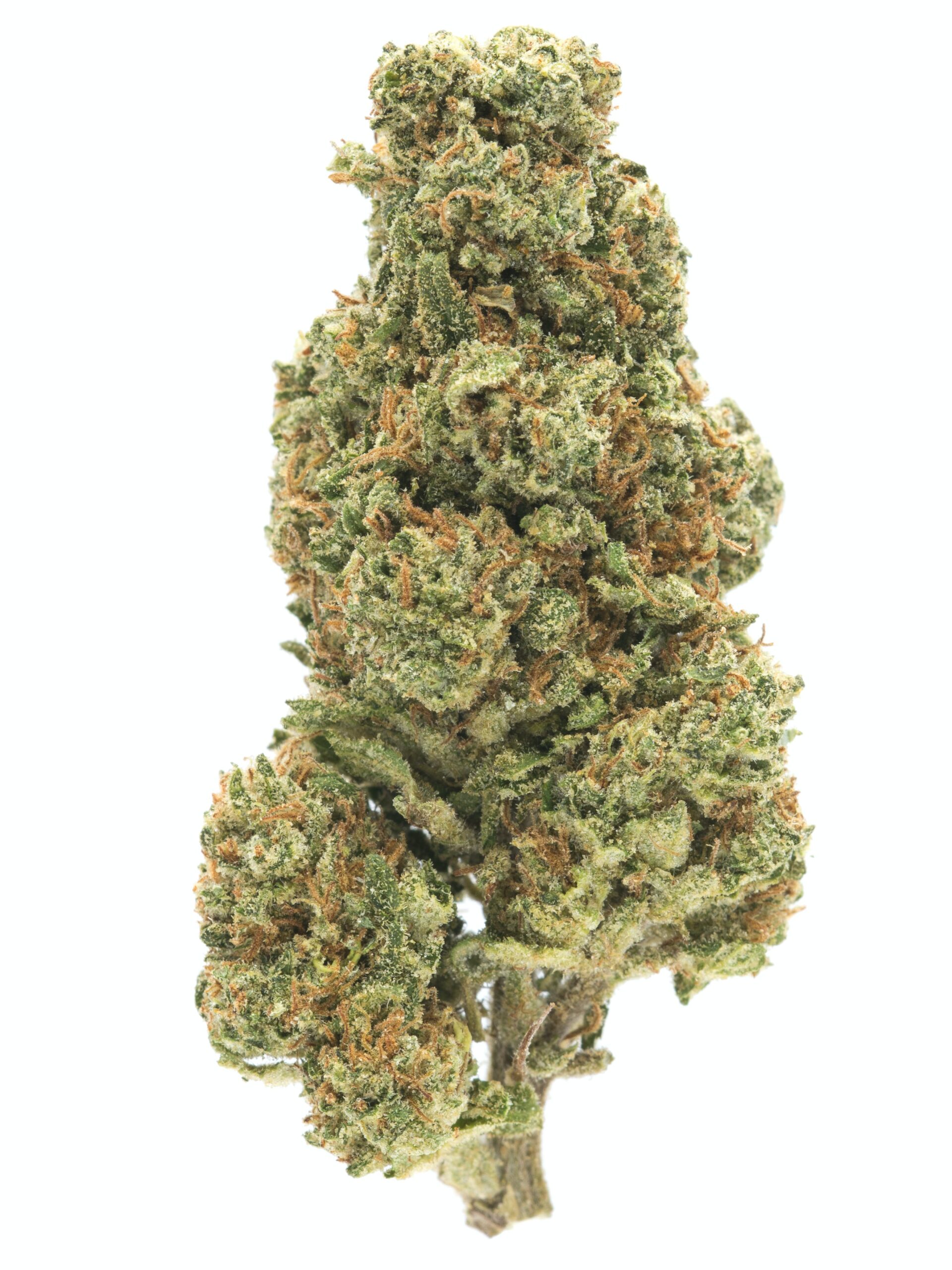 AA+ Blue Dream